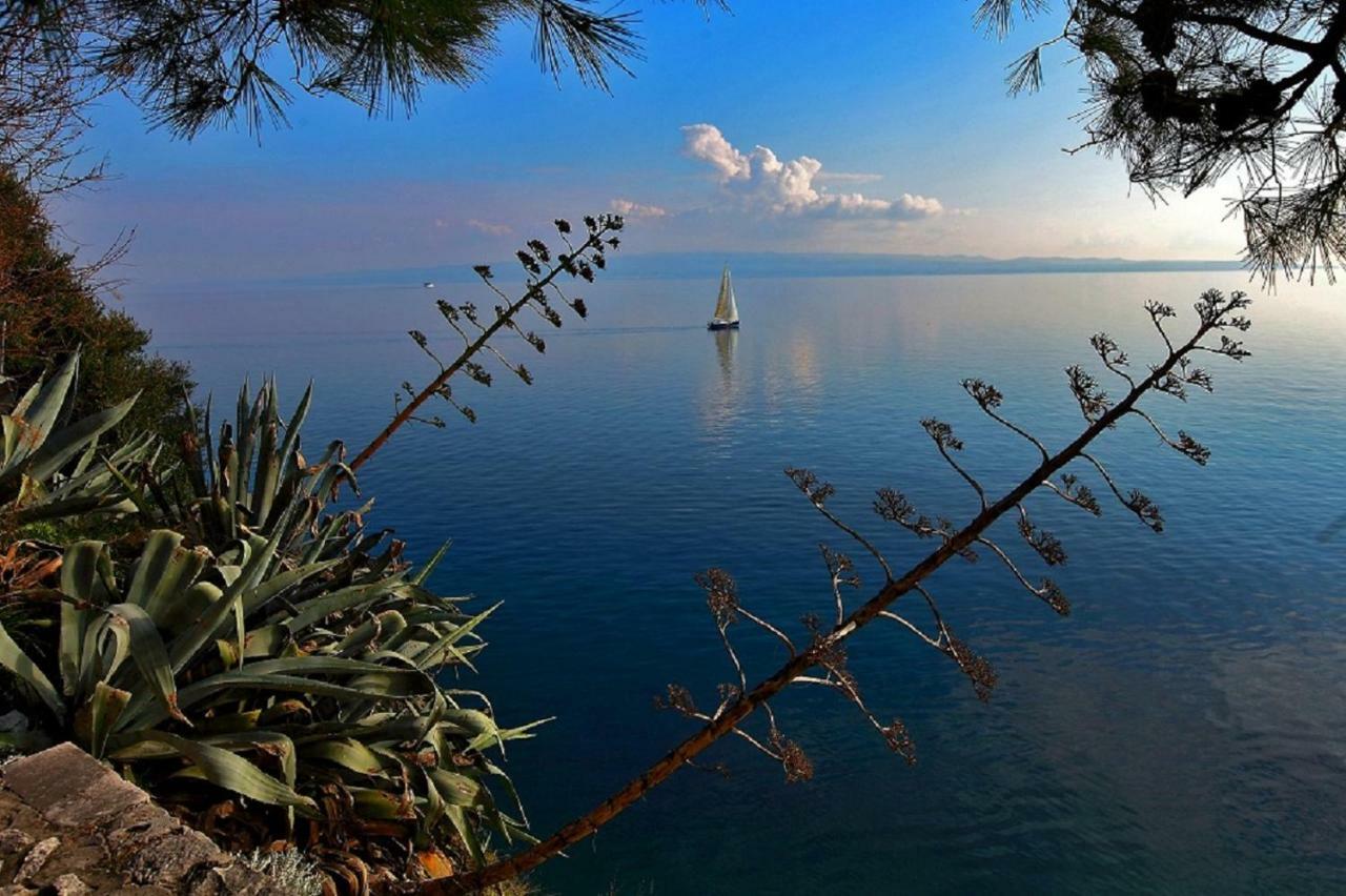 Olive Tree Διαμέρισμα Σπλιτ Εξωτερικό φωτογραφία